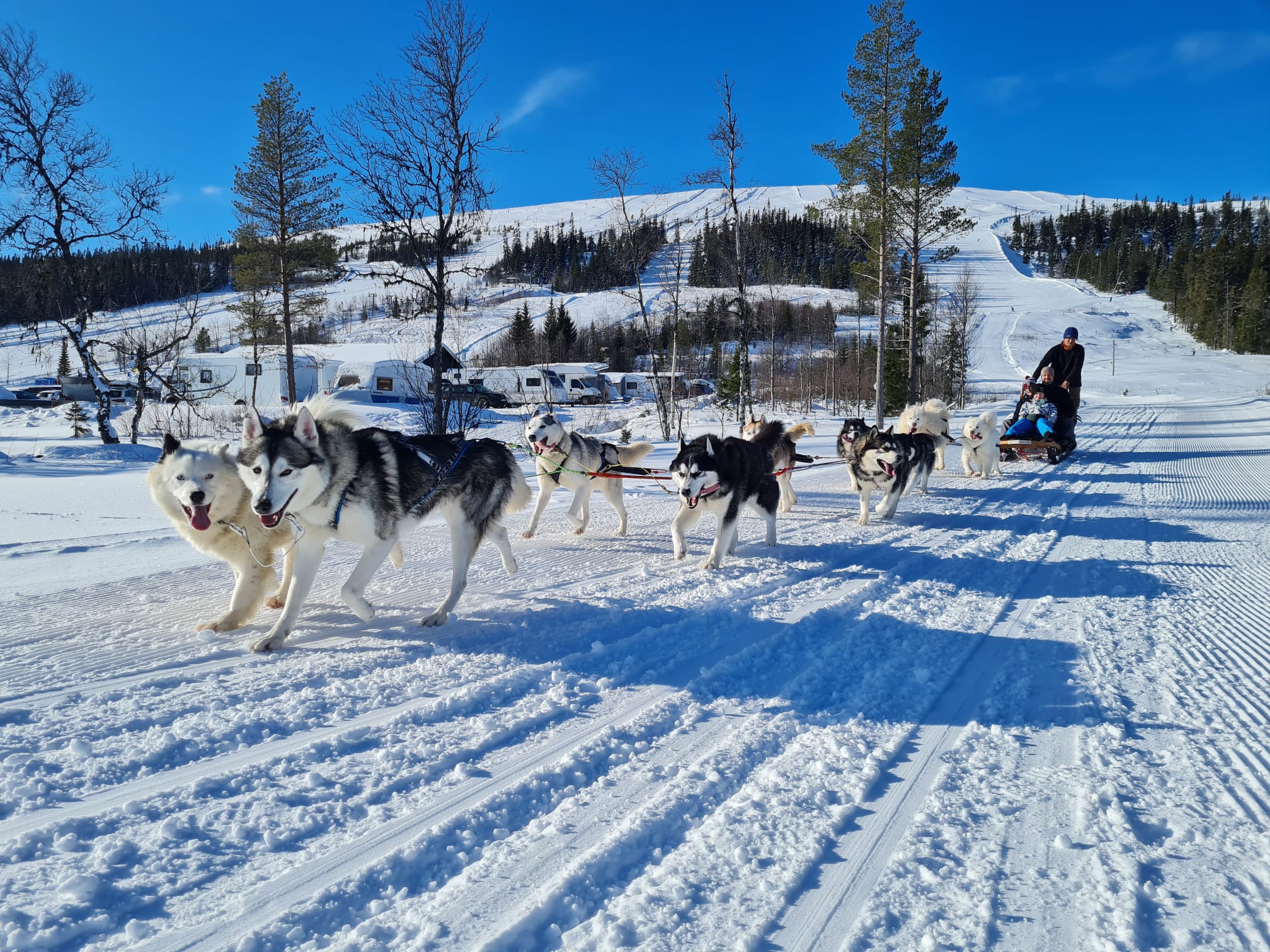 IMG-20220225-WA0021